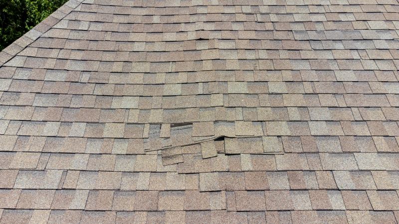 Asphalt Roof Inspection in Stephens City, VA