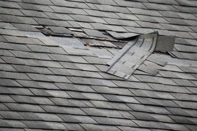 Asphalt Roof Leak Repair in Round Hill, VA