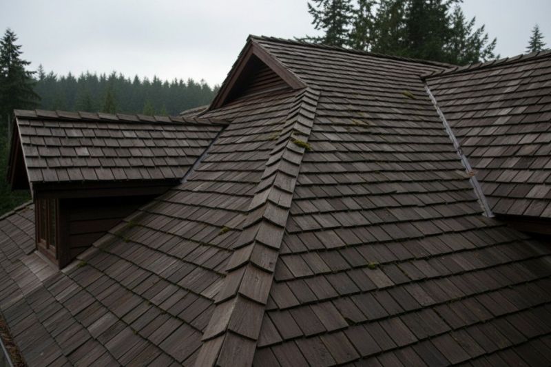 Cedar Shake Roof Replacement in Berryville, VA