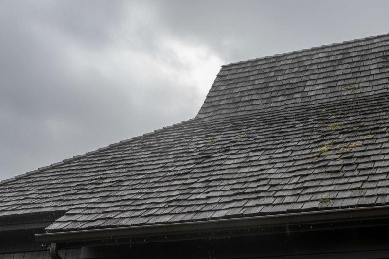 Cedar Shingles Replacement in Cross Junction, VA