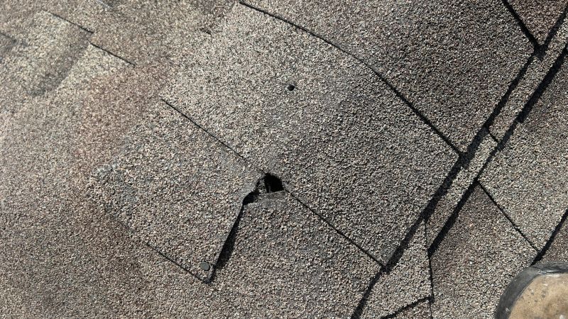 Damaged Roof Repair in Hamilton, VA