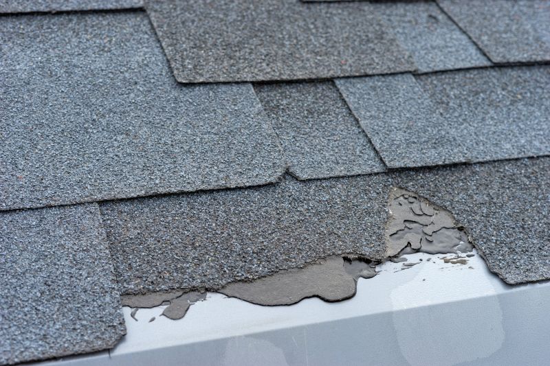 Damaged Roof Repair in Shepherdstown, WV