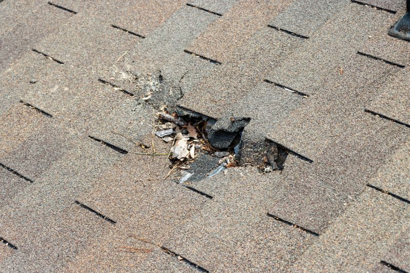 Damaged Roof Replacement in Aldie, VA