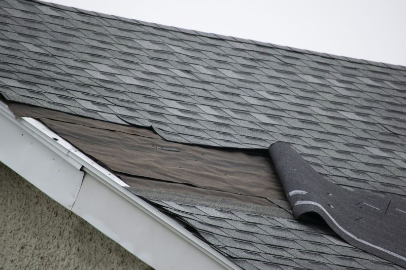 House Roof Repair in Middleburg, VA