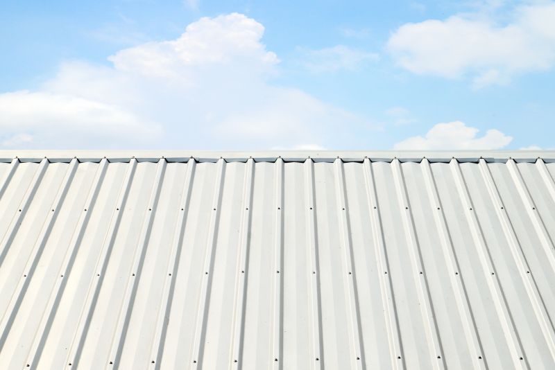 Metal Roof Coating Installation in Berryville, VA