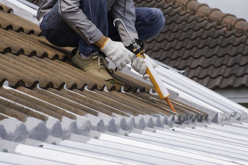 Metal Roof Coating Installation in Berryville, VA