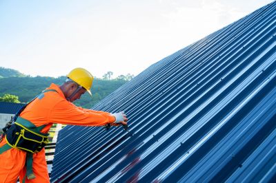 Metal Roof Repair in Warren County, VA