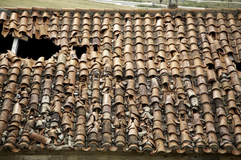 Roof Damage Inspection in Hamilton, VA