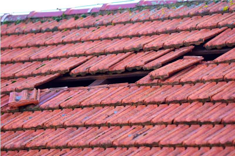 Roof Damage Inspection in Round Hill, VA