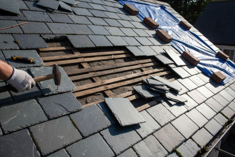 Slate Roof Repair in Stephenson, VA