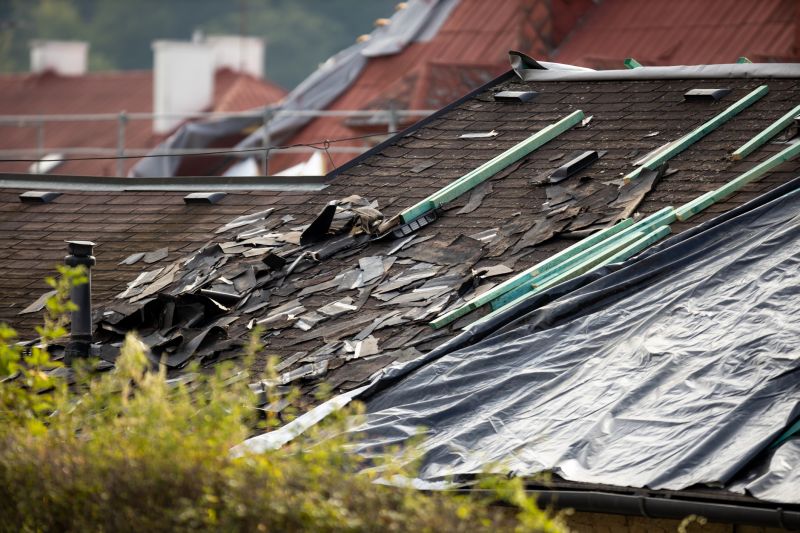 Storm Damage Roof Tarping in Berryville, VA