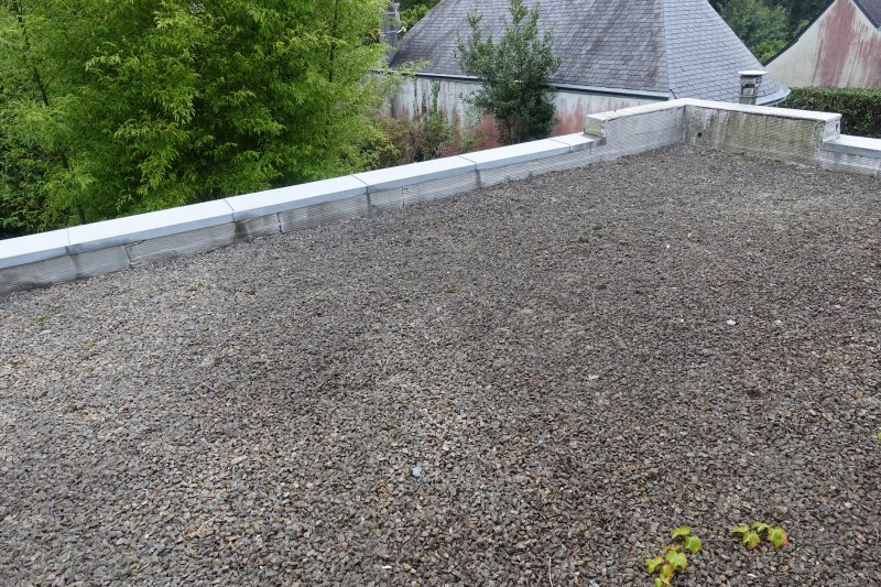 Tar And Gravel Roof Repair in Shenandoah County, VA