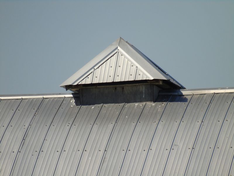 Tin Roof Installation in Leesburg, VA