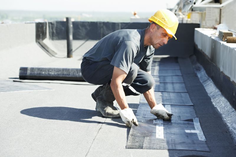 Tpo Roof Repair in Bluemont, VA
